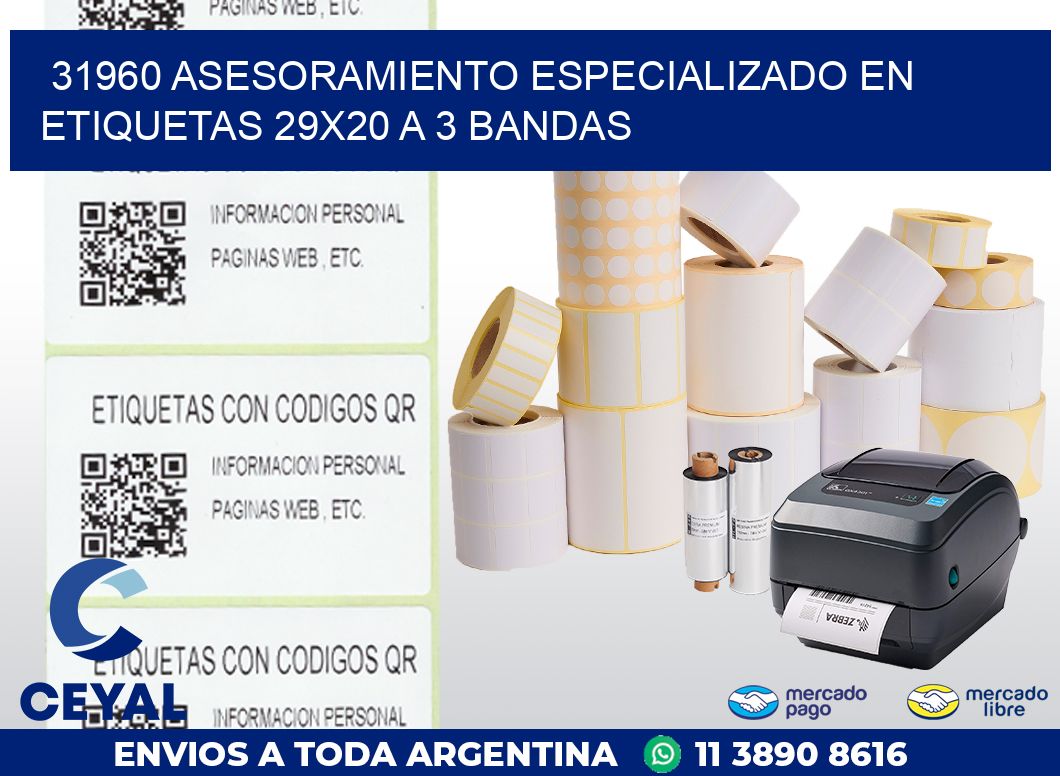 31960 ASESORAMIENTO ESPECIALIZADO EN ETIQUETAS 29X20 A 3 BANDAS