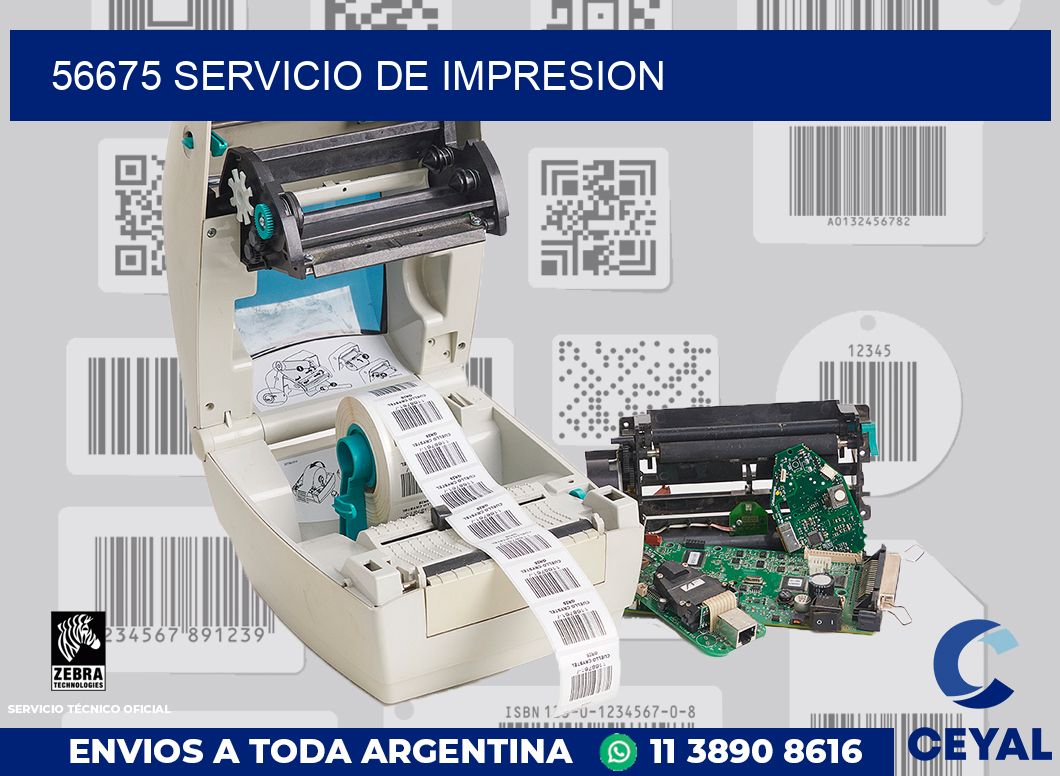 56675 SERVICIO DE IMPRESION