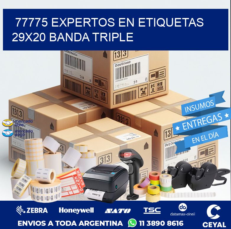 77775 EXPERTOS EN ETIQUETAS 29X20 BANDA TRIPLE