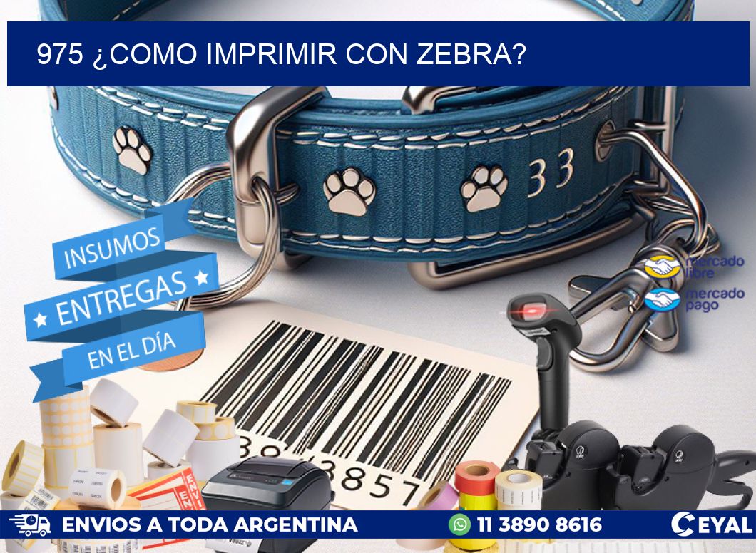 975 ¿COMO IMPRIMIR CON ZEBRA?