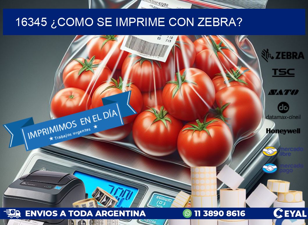 16345 ¿COMO SE IMPRIME CON ZEBRA?