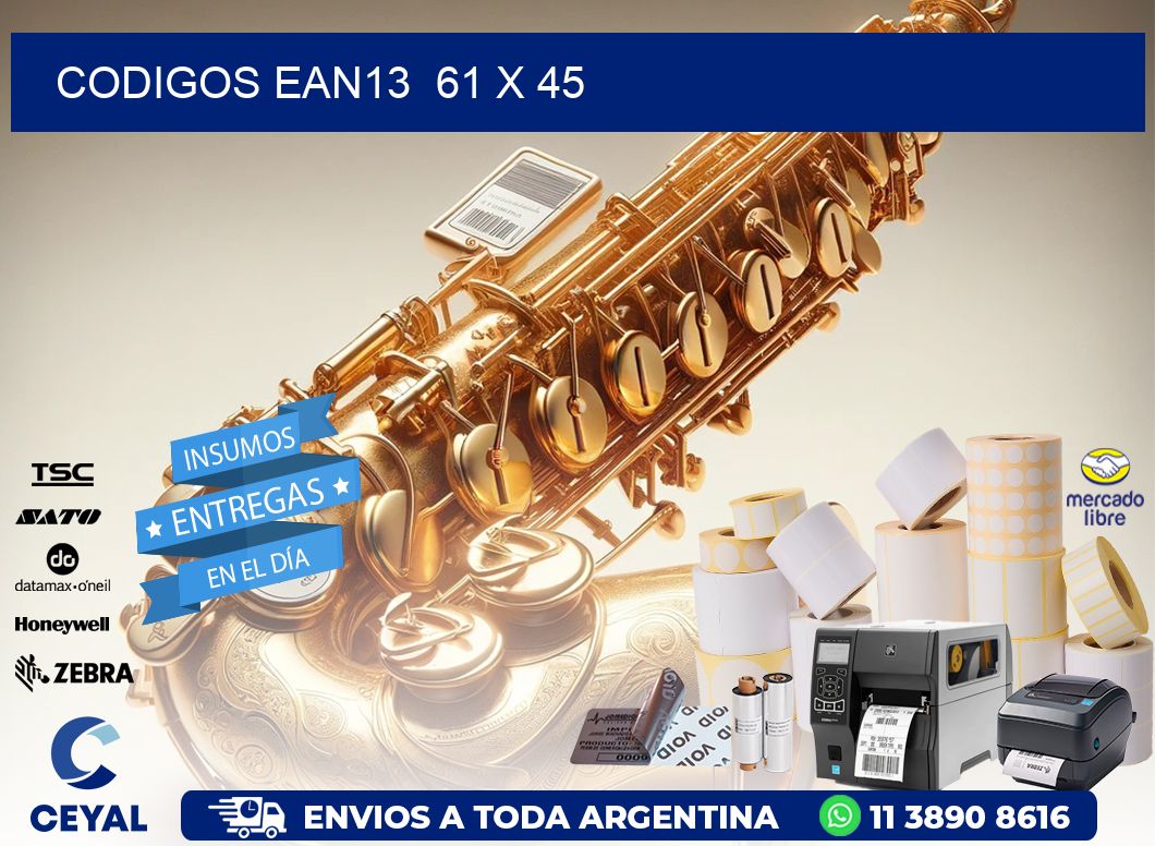 CODIGOS EAN13  61 x 45