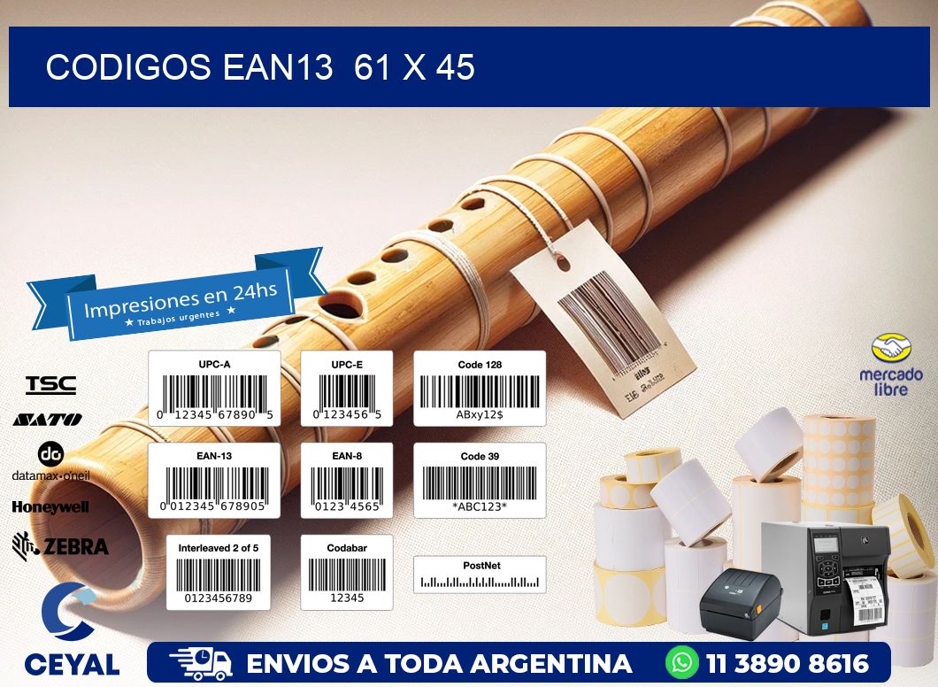 CODIGOS EAN13  61 x 45