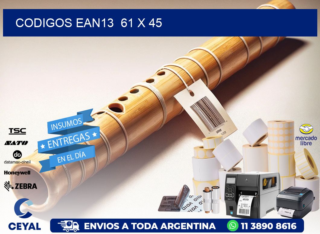 CODIGOS EAN13  61 x 45