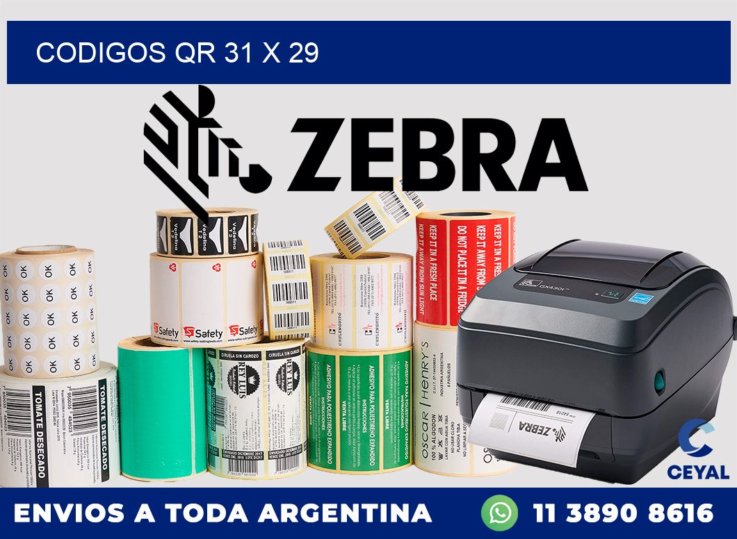 CODIGOS QR 31 x 29