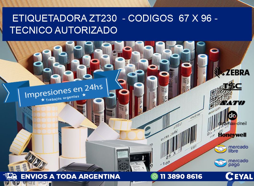 ETIQUETADORA ZT230  - CODIGOS  67 x 96 - TECNICO AUTORIZADO