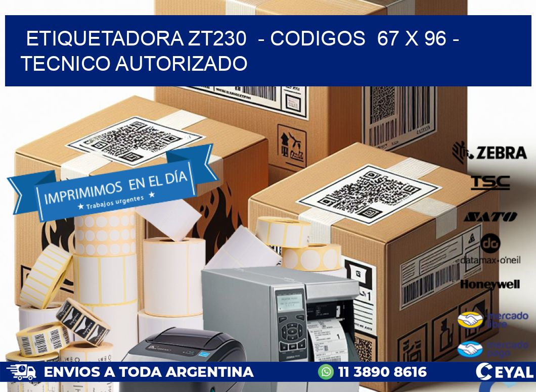 ETIQUETADORA ZT230  - CODIGOS  67 x 96 - TECNICO AUTORIZADO