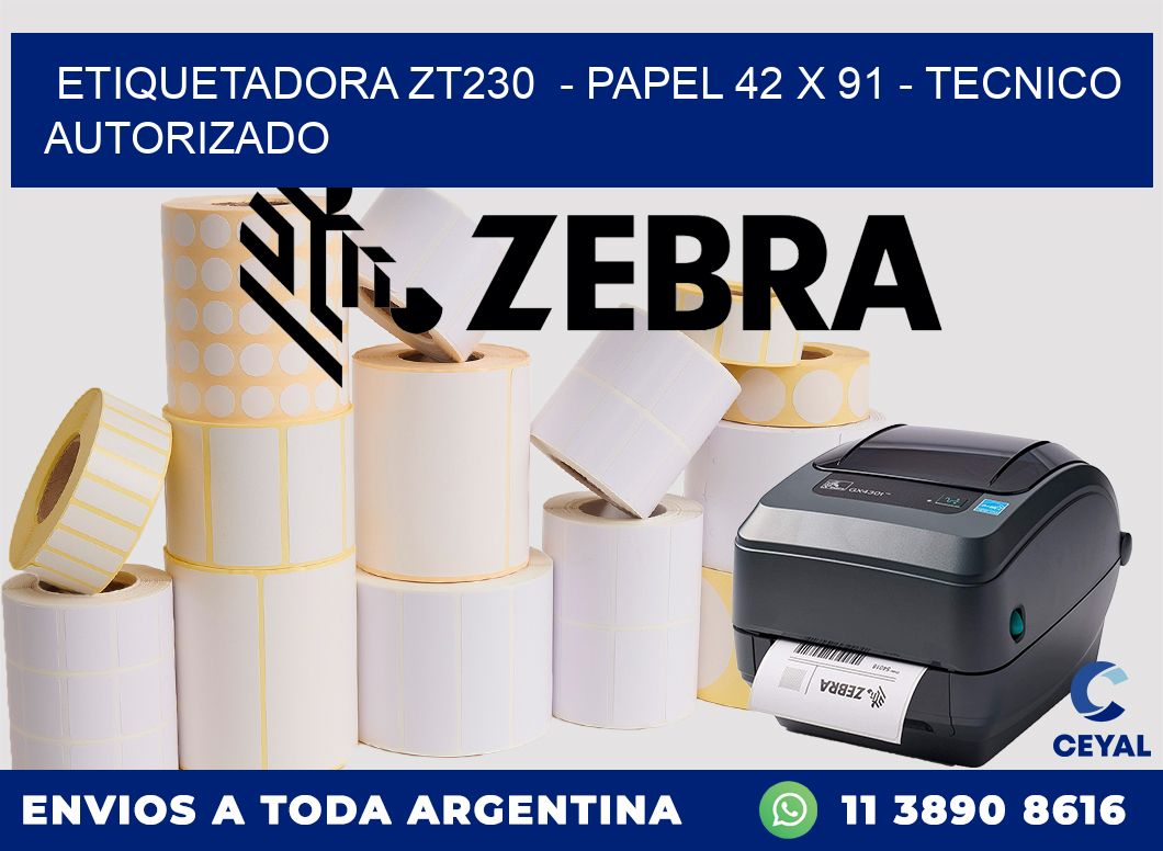 ETIQUETADORA ZT230  - PAPEL 42 x 91 - TECNICO AUTORIZADO