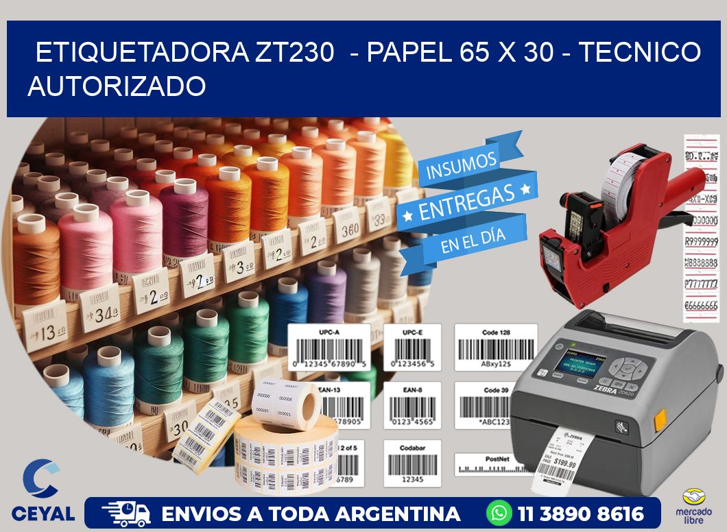 ETIQUETADORA ZT230  - PAPEL 65 x 30 - TECNICO AUTORIZADO