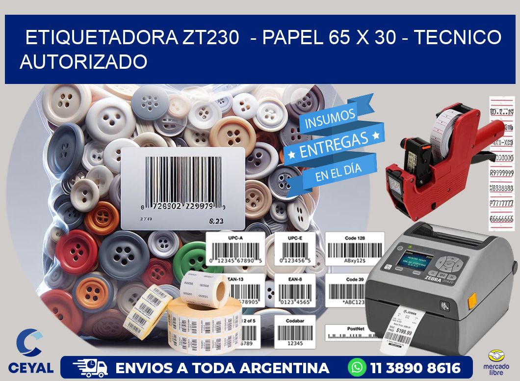 ETIQUETADORA ZT230  - PAPEL 65 x 30 - TECNICO AUTORIZADO