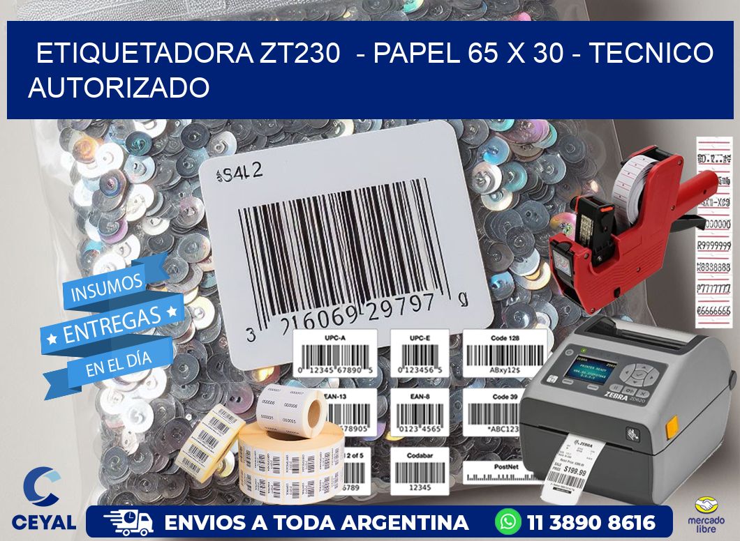 ETIQUETADORA ZT230  - PAPEL 65 x 30 - TECNICO AUTORIZADO