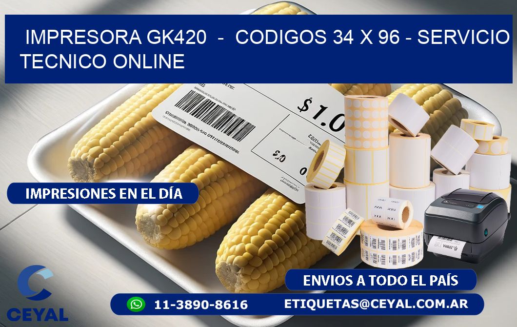 IMPRESORA GK420  -  CODIGOS 34 x 96 - SERVICIO TECNICO ONLINE