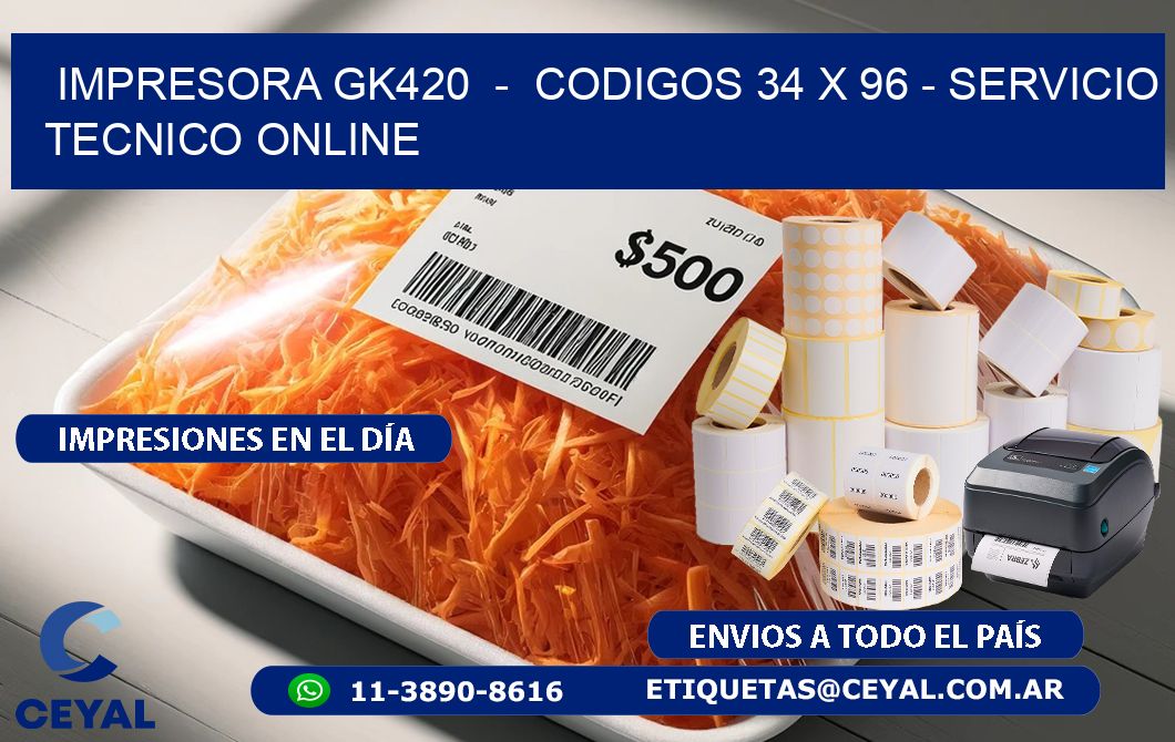 IMPRESORA GK420  -  CODIGOS 34 x 96 - SERVICIO TECNICO ONLINE