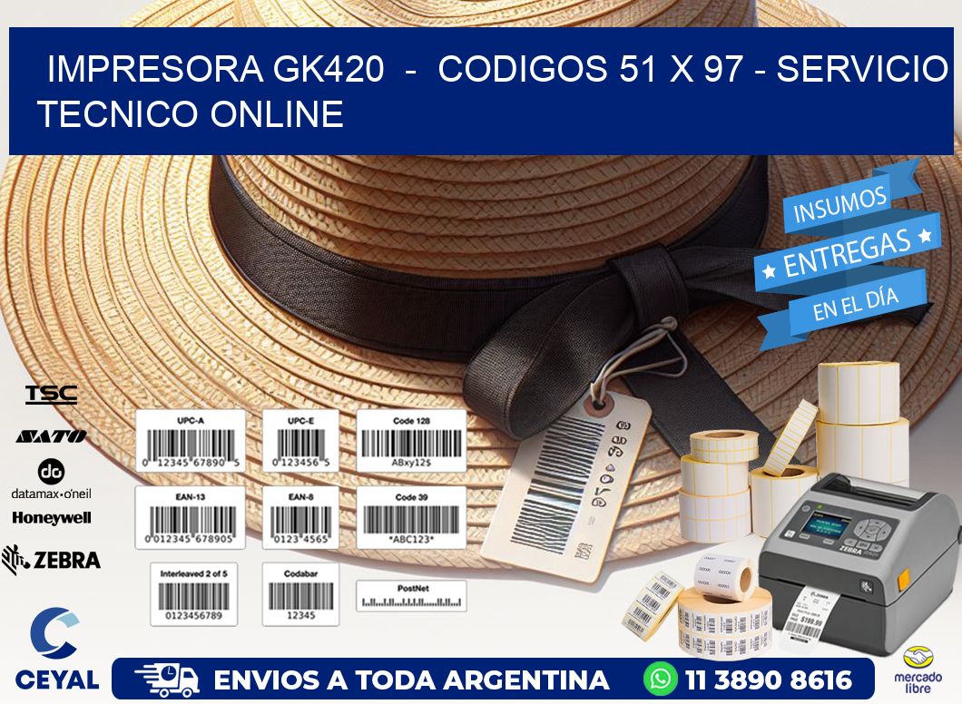 IMPRESORA GK420  -  CODIGOS 51 x 97 - SERVICIO TECNICO ONLINE