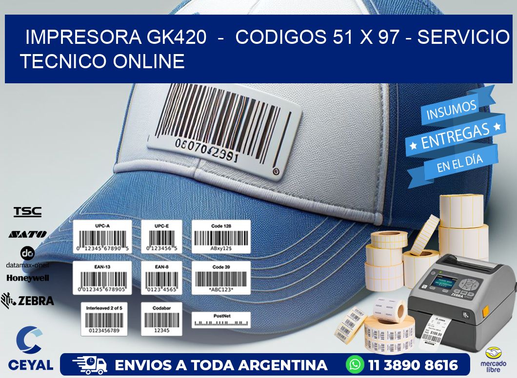 IMPRESORA GK420  -  CODIGOS 51 x 97 - SERVICIO TECNICO ONLINE