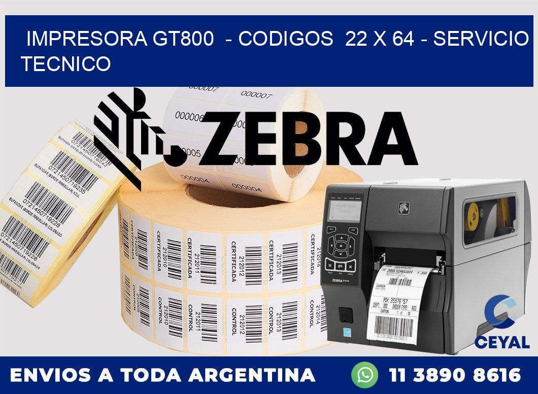 IMPRESORA GT800  - CODIGOS  22 x 64 - SERVICIO TECNICO