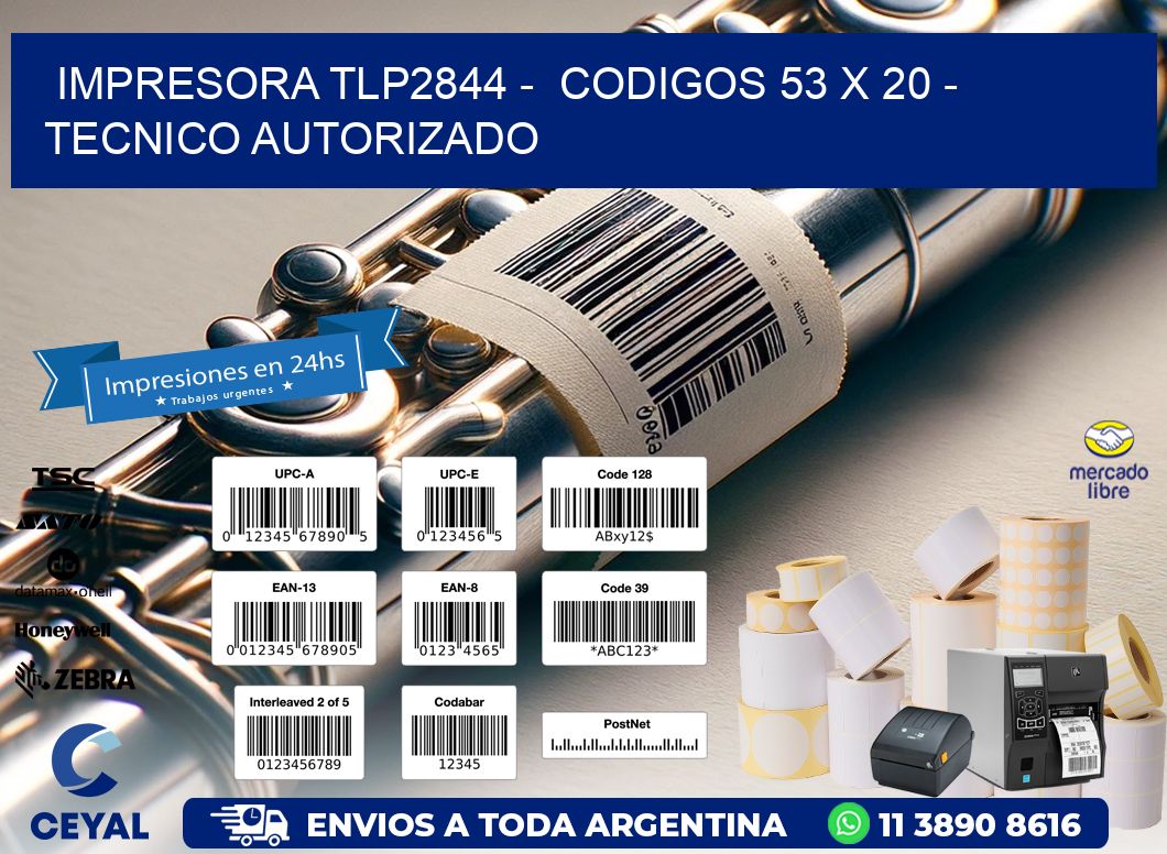 IMPRESORA TLP2844 -  CODIGOS 53 x 20 - TECNICO AUTORIZADO