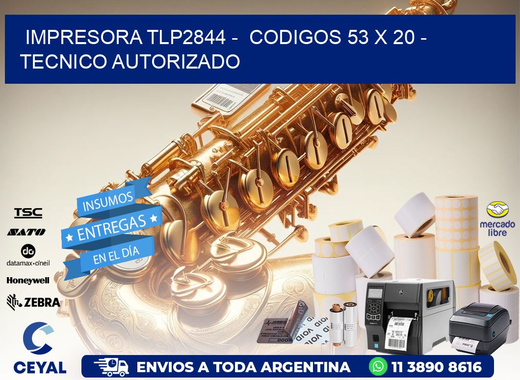 IMPRESORA TLP2844 -  CODIGOS 53 x 20 - TECNICO AUTORIZADO