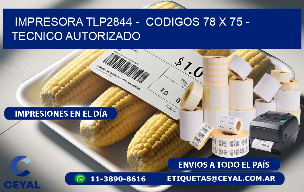 IMPRESORA TLP2844 -  CODIGOS 78 x 75 - TECNICO AUTORIZADO