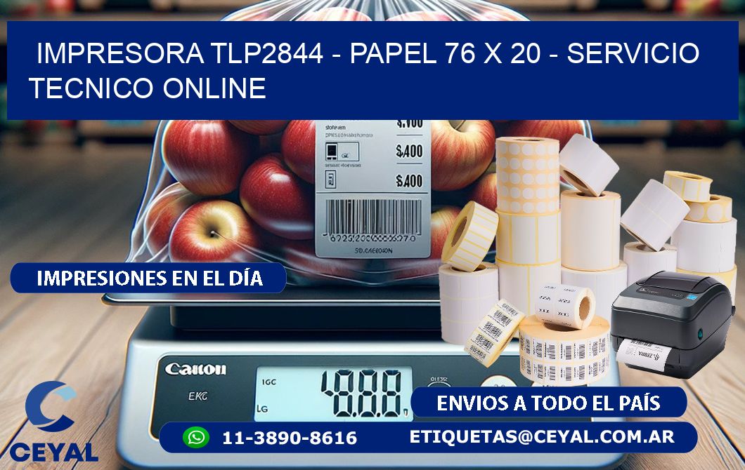 IMPRESORA TLP2844 - PAPEL 76 x 20 - SERVICIO TECNICO ONLINE