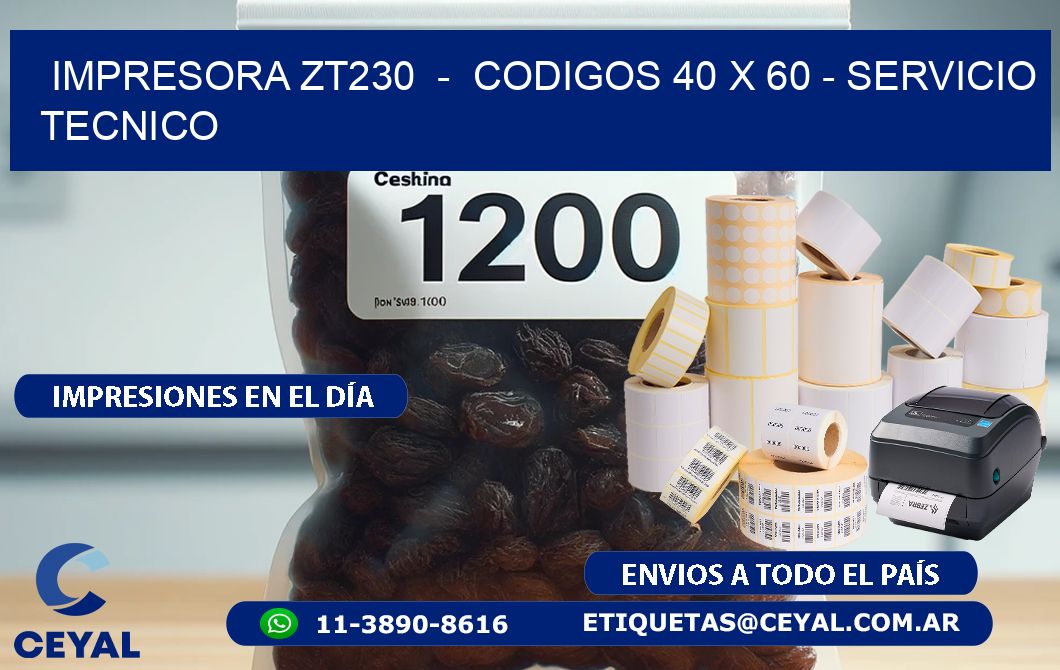 IMPRESORA ZT230  -  CODIGOS 40 x 60 - SERVICIO TECNICO