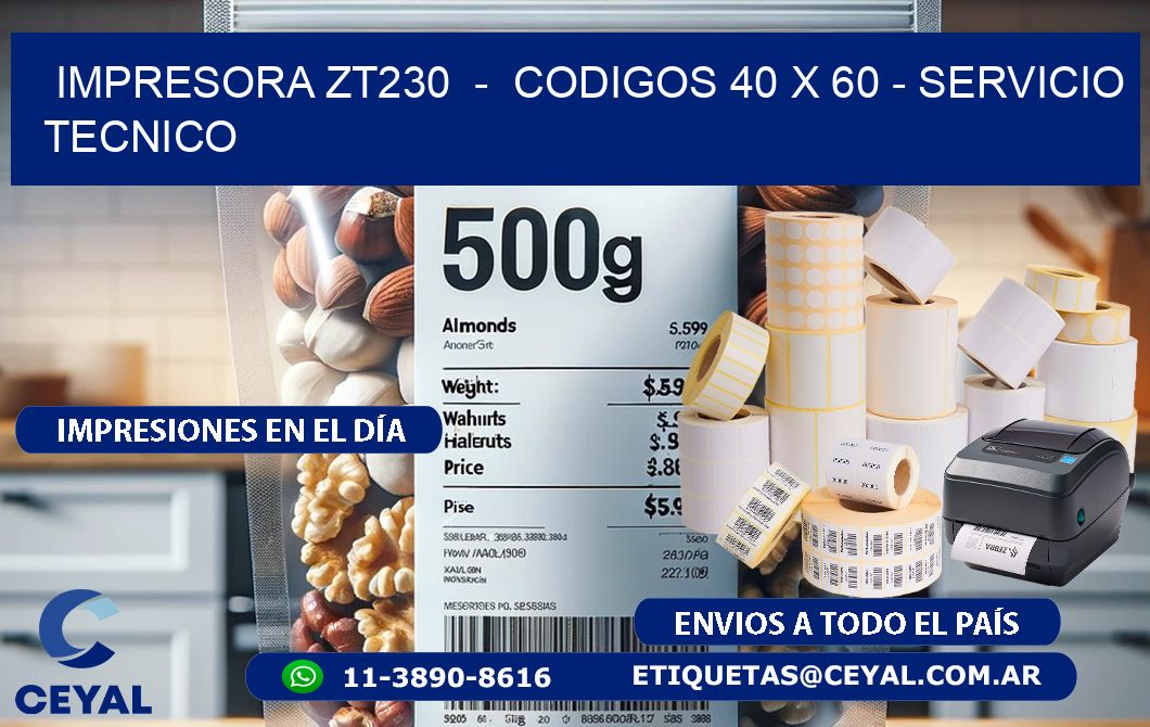 IMPRESORA ZT230  -  CODIGOS 40 x 60 - SERVICIO TECNICO