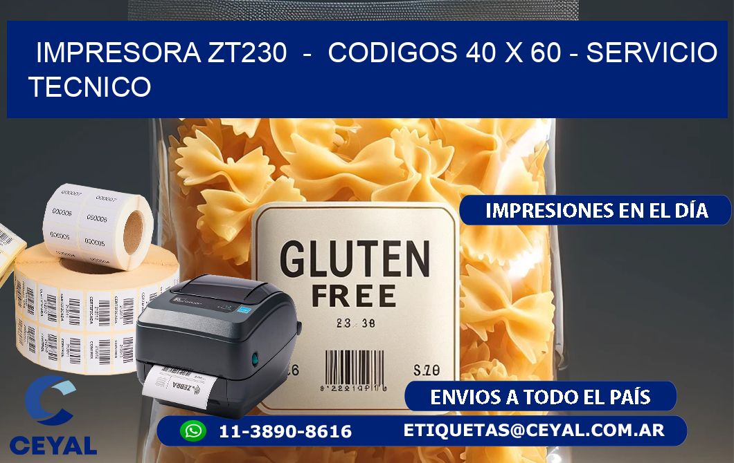 IMPRESORA ZT230  -  CODIGOS 40 x 60 - SERVICIO TECNICO