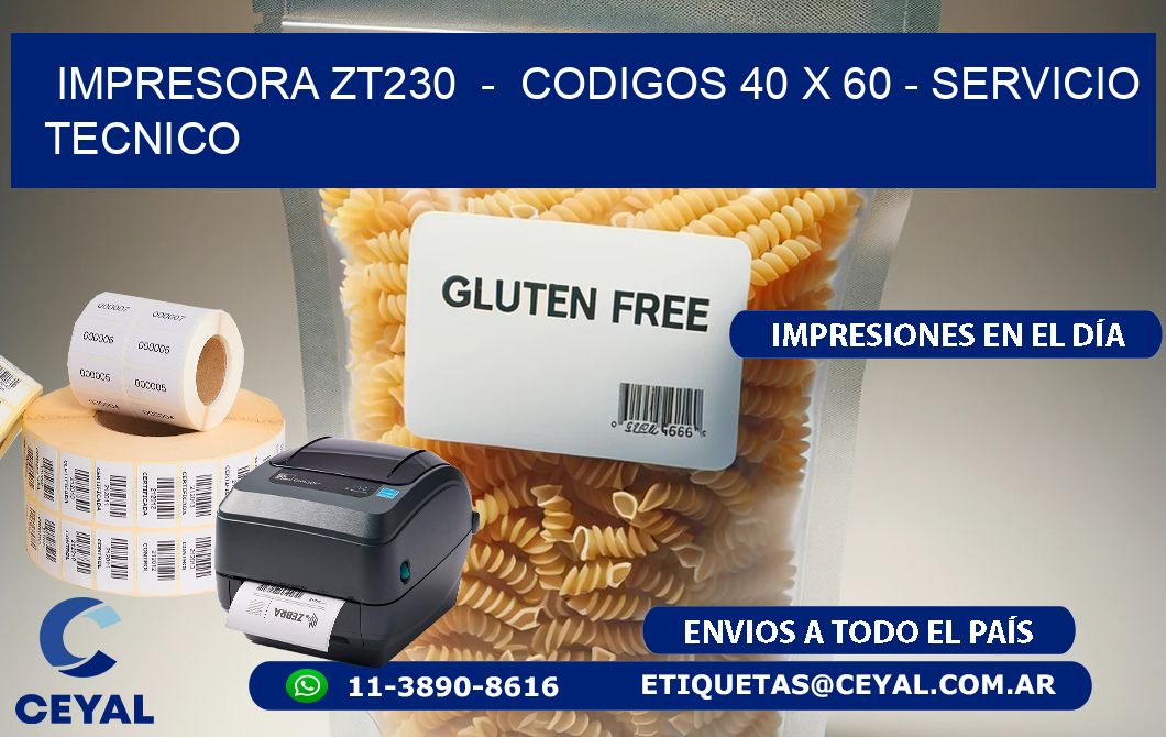 IMPRESORA ZT230  -  CODIGOS 40 x 60 - SERVICIO TECNICO