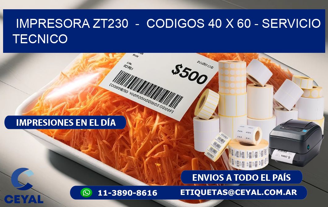 IMPRESORA ZT230  –  CODIGOS 40 x 60 – SERVICIO TECNICO