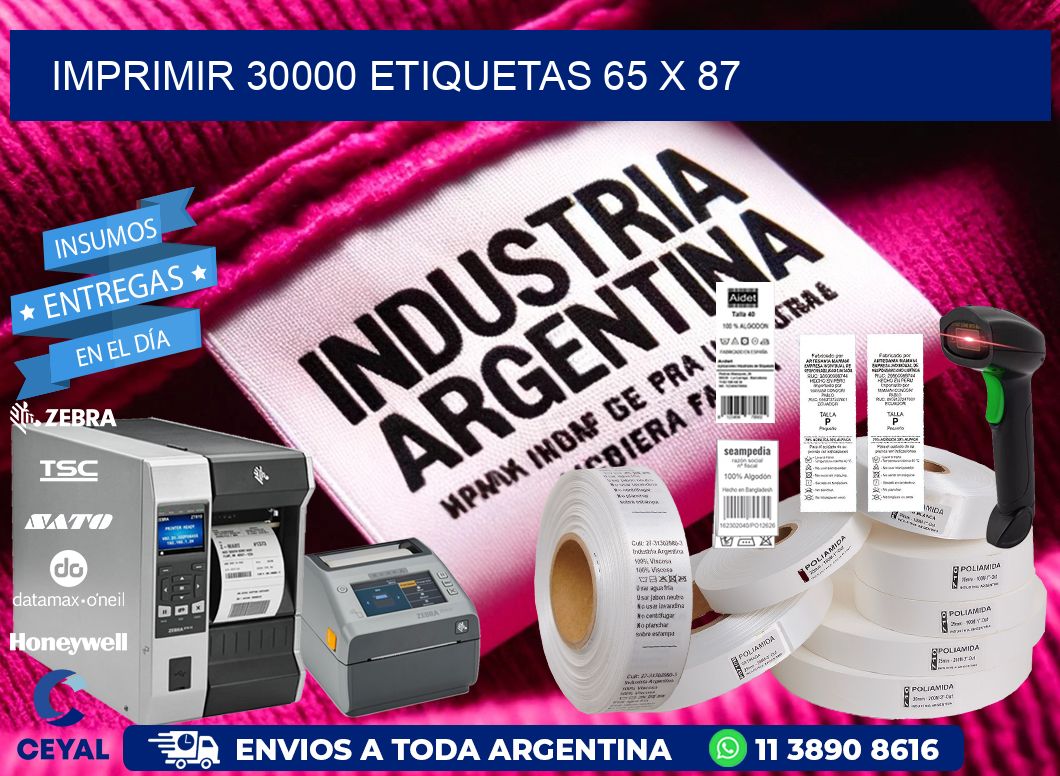 IMPRIMIR 30000 ETIQUETAS 65 x 87