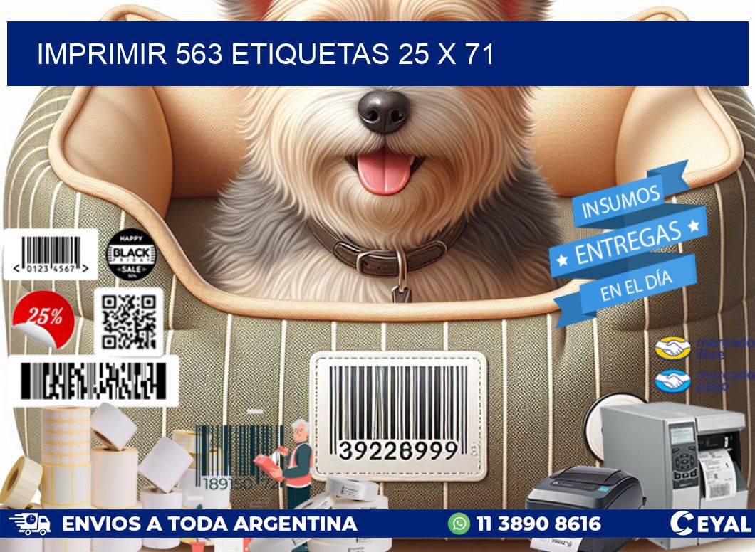 IMPRIMIR 563 ETIQUETAS 25 x 71