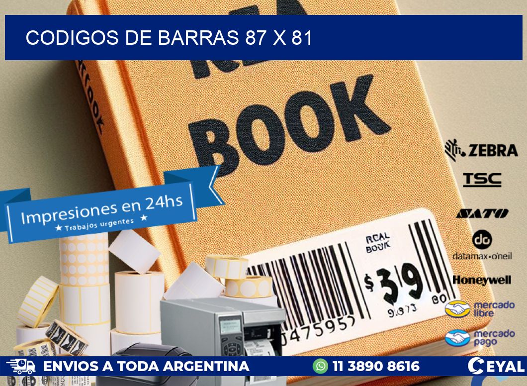 codigos de barras 87 x 81