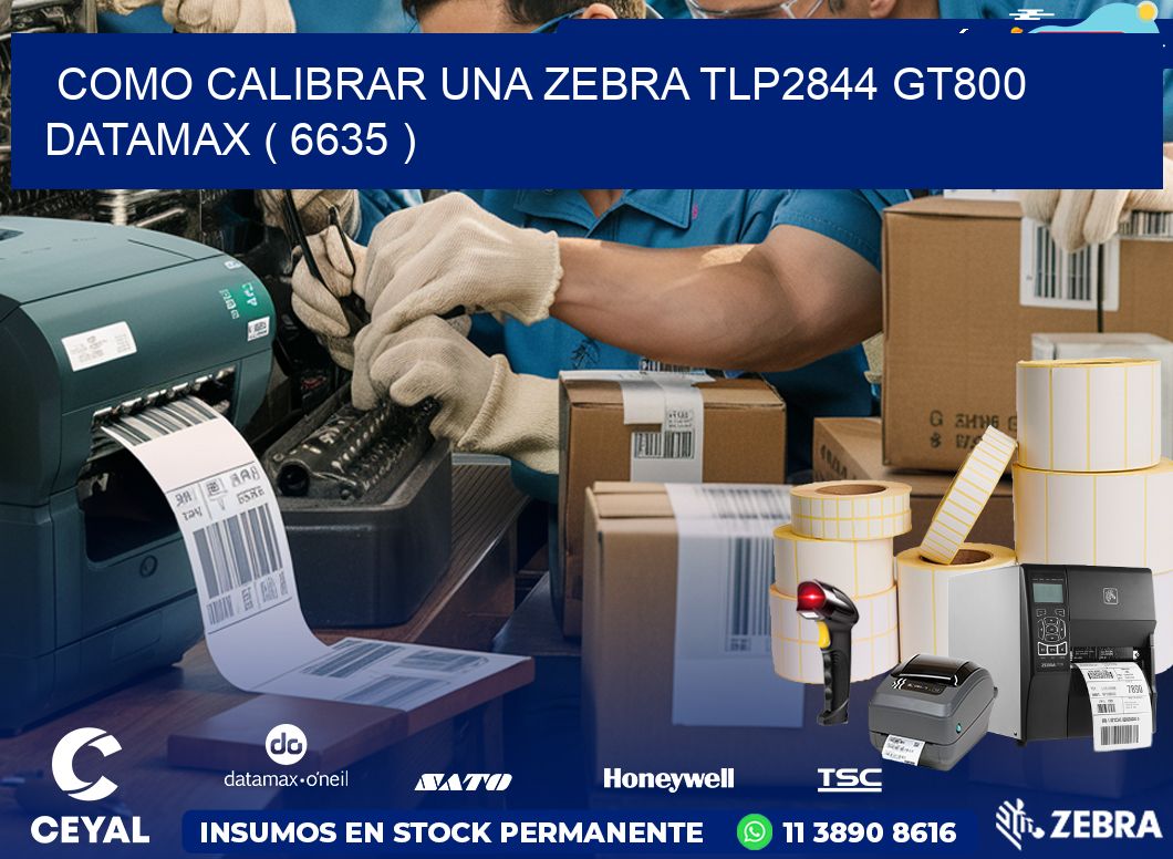 COMO CALIBRAR UNA ZEBRA TLP2844 GT800 DATAMAX ( 6635 )