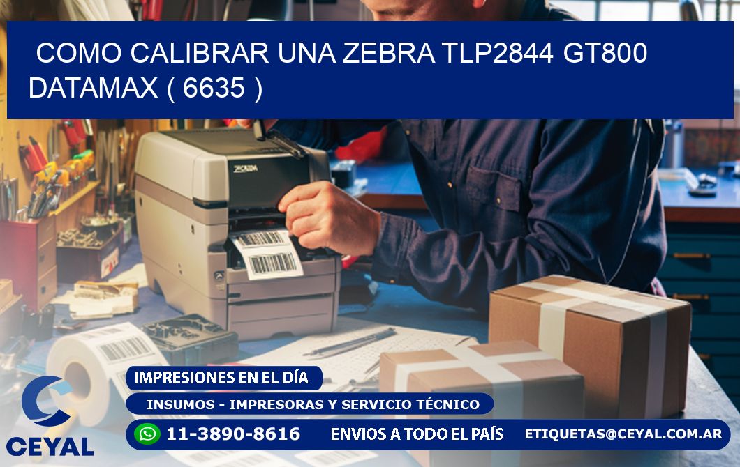 COMO CALIBRAR UNA ZEBRA TLP2844 GT800 DATAMAX ( 6635 )