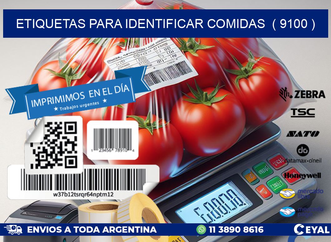 ETIQUETAS PARA IDENTIFICAR COMIDAS  ( 9100 )