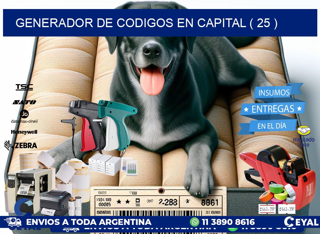 GENERADOR DE CODIGOS EN CAPITAL ( 25 )