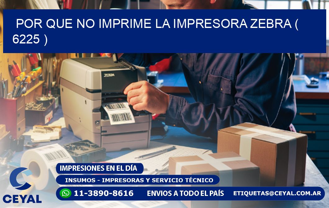 POR QUE NO IMPRIME LA IMPRESORA ZEBRA ( 6225 )