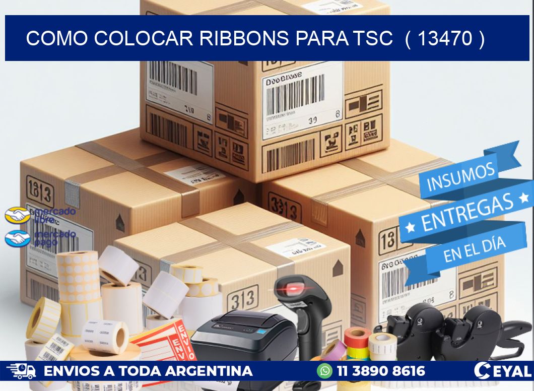 COMO COLOCAR RIBBONS PARA TSC  ( 13470 )