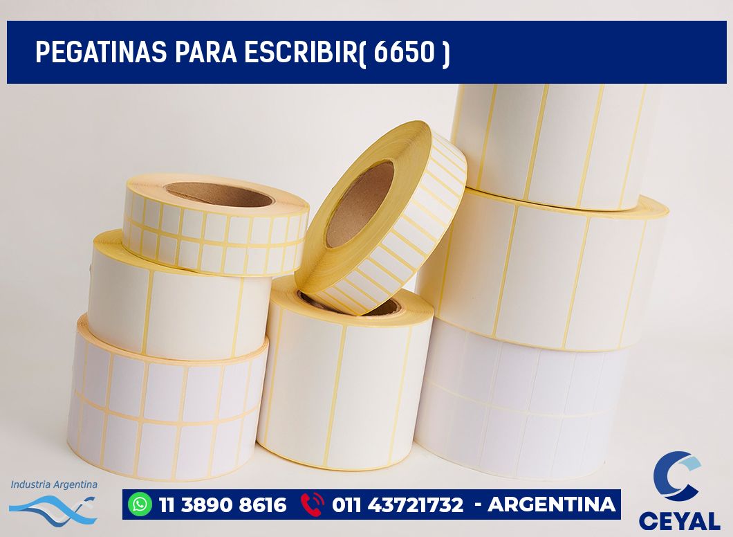 PEGATINAS PARA ESCRIBIR( 6650 )