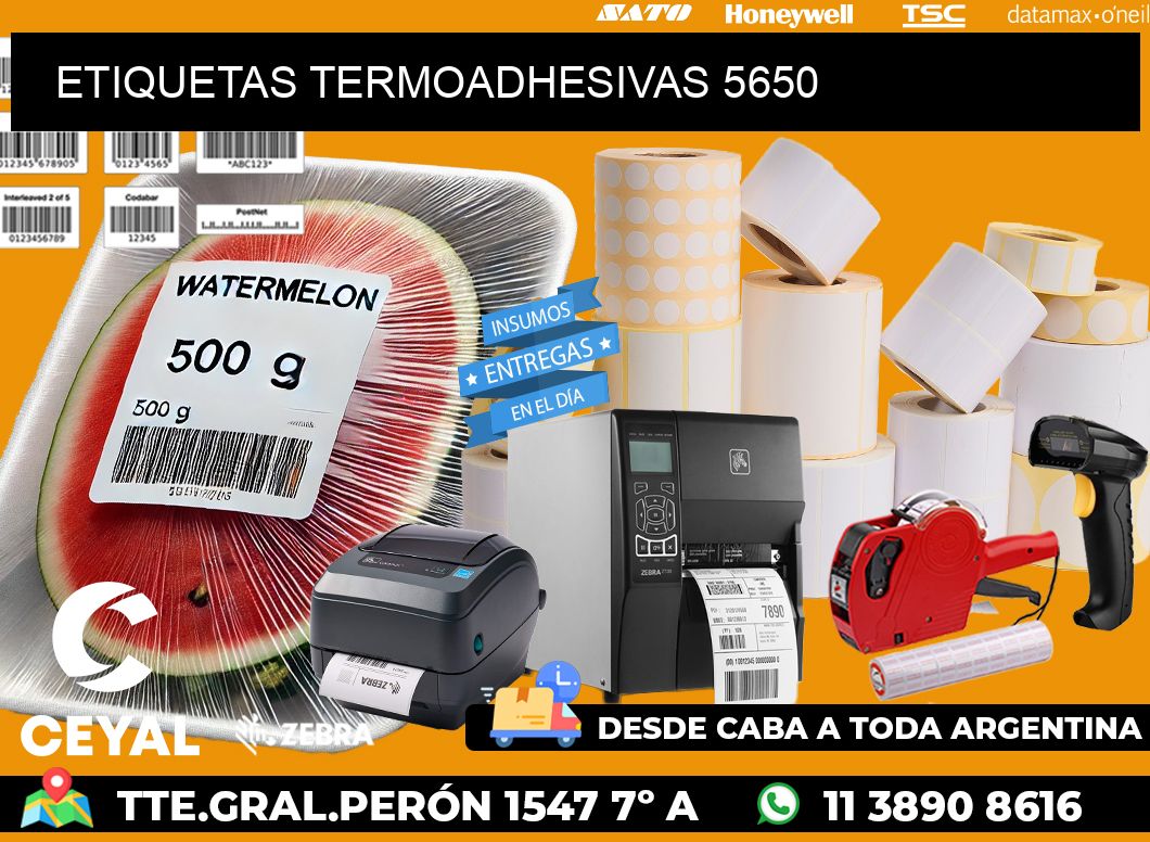 ETIQUETAS TERMOADHESIVAS 5650