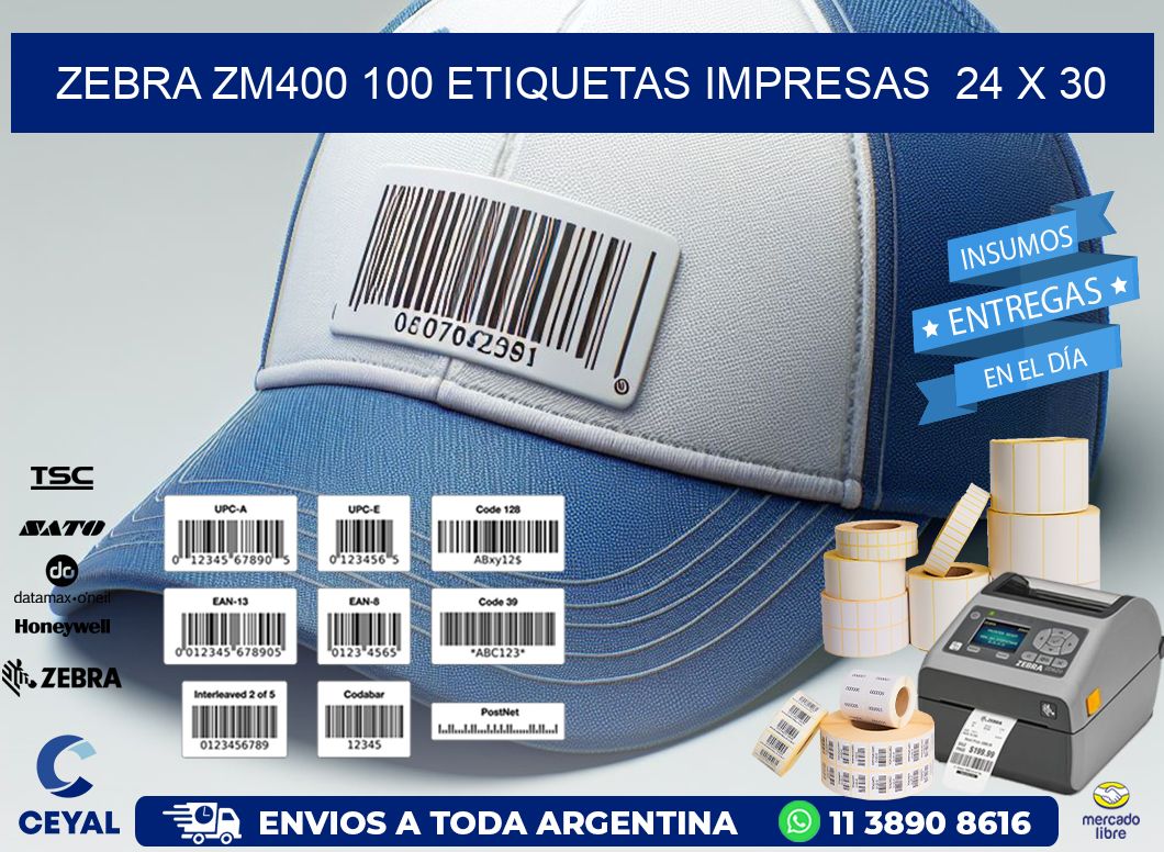 ZEBRA ZM400 100 ETIQUETAS IMPRESAS  24 x 30