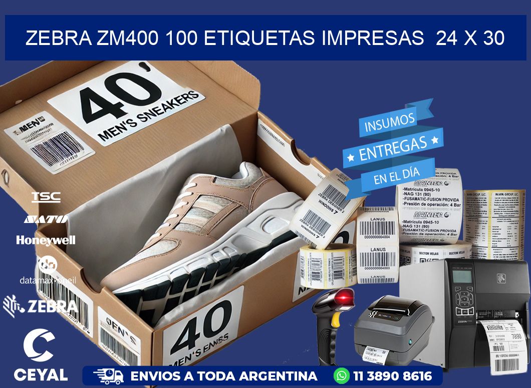 ZEBRA ZM400 100 ETIQUETAS IMPRESAS  24 x 30