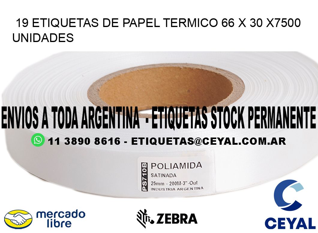 19 ETIQUETAS DE PAPEL TERMICO 66 x 30 X7500 UNIDADES