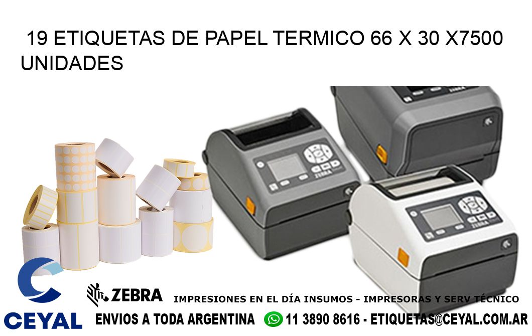 19 ETIQUETAS DE PAPEL TERMICO 66 x 30 X7500 UNIDADES