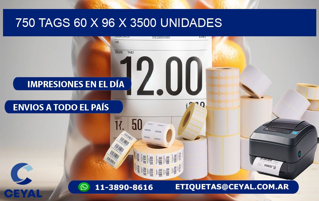 750 TAGS 60 x 96 X 3500 UNIDADES